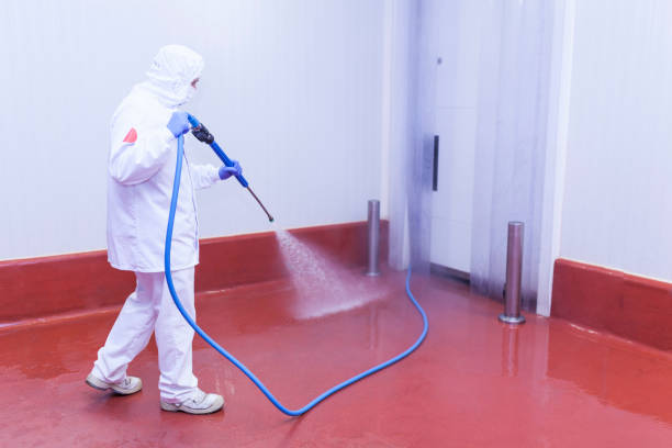 Best Sidewalk and Walkway Cleaning  in Huntsville, MO